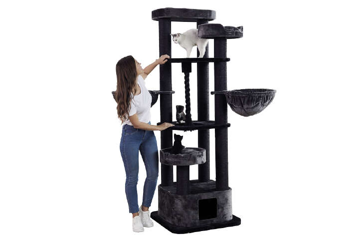 Nobby Kratzbaum MUSAN